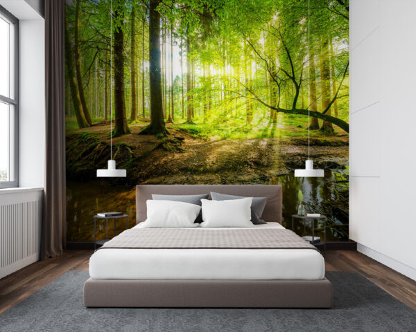 Wald mit Bäumen und Sonne, die durch die Bäume scheint Fototapeten Wald mit Bäumen und Sonne, die durch die Bäume scheint