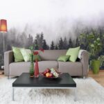 Fototapeten Wald von Bäumen mit Nebel