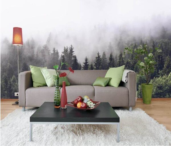 Wald von Bäumen mit Nebel Fototapeten Wald von Bäumen mit Nebel