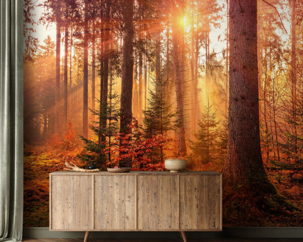 Sonnenlicht filtert durch den ruhigen Wald Fototapeten Sonnenlicht filtert durch den ruhigen Wald