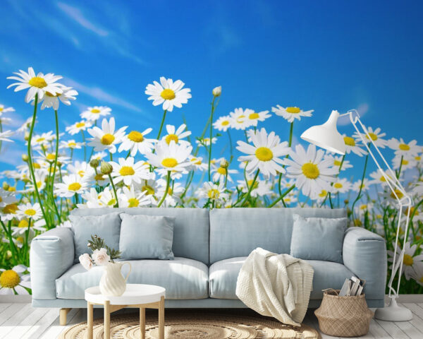 Feld mit weißen und gelben Blumen Fototapeten Feld mit weißen und gelben Blumen