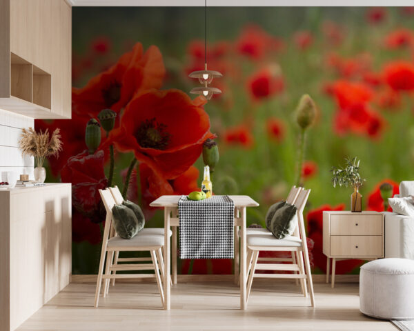 Feld mit roten Blumen Fototapeten Feld mit roten Blumen