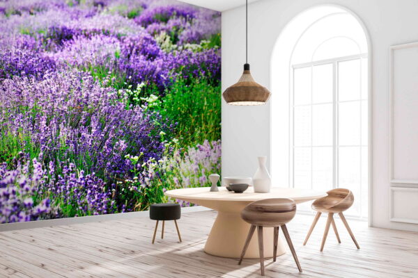 Feld mit violetten Blumen Fototapeten Feld mit violetten Blumen