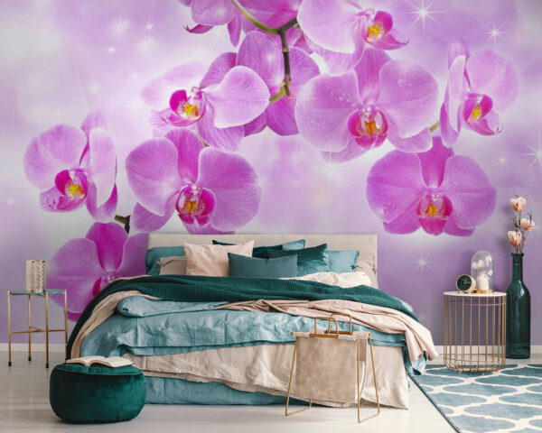 Fototapeten Zarte Orchideen in sanften Farbtönen (Artikelnummer: u55600) Fototapeten Fototapeten Zarte Orchideen in sanften Farbtönen (Artikelnummer: u55600)