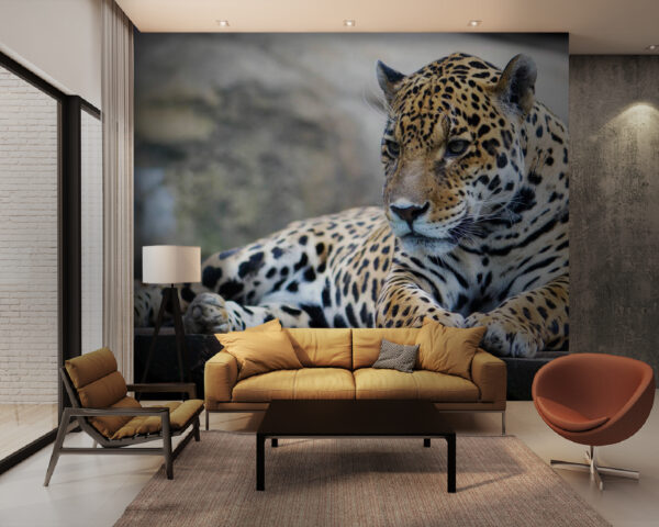 Leopard liegend auf einer Holzoberfläche Fototapeten Leopard liegend auf einer Holzoberfläche