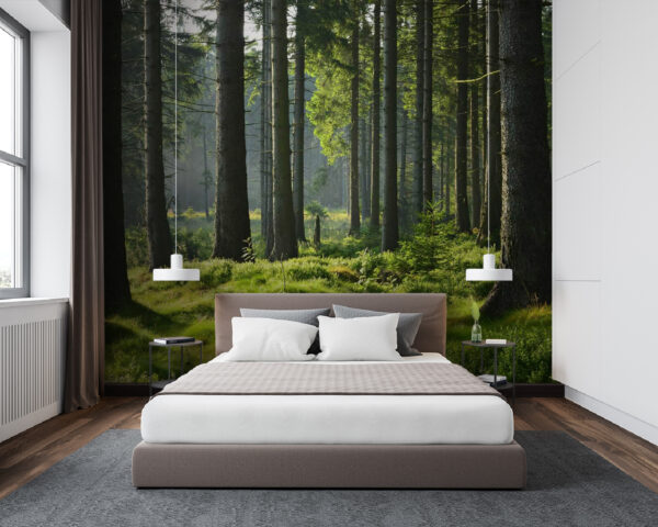 Wald mit hohen Bäumen und Gras Fototapeten Wald mit hohen Bäumen und Gras