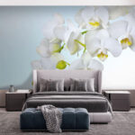 Fototapeten Weiße Orchideen über Wasser