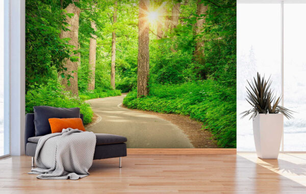 Sonnenlicht durch üppig grünen Wald Fototapeten Sonnenlicht durch üppig grünen Wald