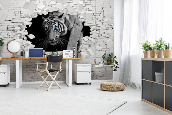 Weißer Tiger mit blauen Augen Fototapeten Weißer Tiger mit blauen Augen