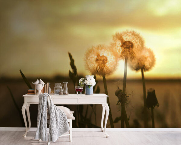 Fototapeten Löwenzahn tanzt in der sanften Brise