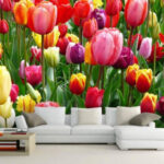 Fototapeten Gruppe von bunten Tulpen