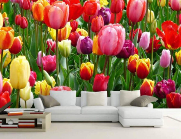 Gruppe von bunten Tulpen Fototapeten Gruppe von bunten Tulpen