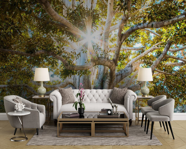 Majestätischer Baum, der die Essenz des Sonnenlichts einfängt Fototapeten Majestätischer Baum, der die Essenz des Sonnenlichts einfängt