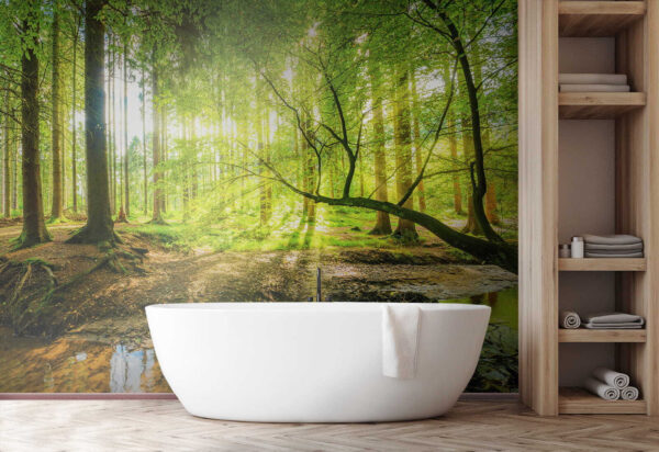 Sonnenbeschienener Wald mit schimmerndem Bach Fototapeten Sonnenbeschienener Wald mit schimmerndem Bach