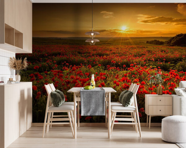 Feld mit roten Blumen Fototapeten Feld mit roten Blumen