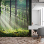 Fototapeten Sonnenstrahlen strömen durch den Wald