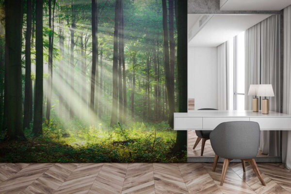 Sonnenstrahlen strömen durch den Wald Fototapeten Sonnenstrahlen strömen durch den Wald