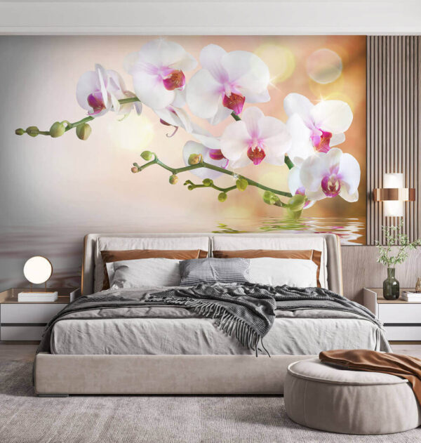 Orchideen, die sich auf dem ruhigen Wasser spiegeln Fototapeten Orchideen, die sich auf dem ruhigen Wasser spiegeln