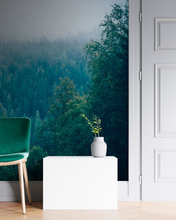 Wald von Bäumen mit Nebel Fototapeten Wald von Bäumen mit Nebel