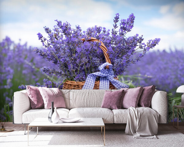 Korb mit Lavendel auf einem Feld Fototapeten Korb mit Lavendel auf einem Feld