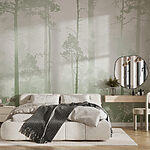 Fototapeten Nebliger Wald mit hohen Bäumen