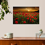 Wandbilder Rote Mohnblumen unter dem Himmel bei Sonnenuntergang