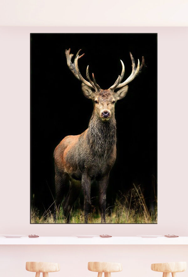 Wandbilder Majestätischer Hirsch im Wald (Artikelnummer: s08154) Wandbilder Wandbilder Majestätischer Hirsch im Wald (Artikelnummer: s08154)