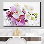 Wandbilder Orchideen mit Wassertropfen leuchten