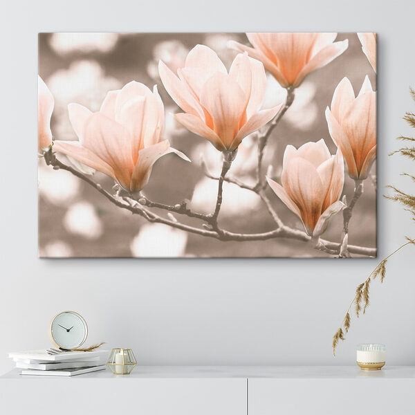 Blühende Magnolienblüten im Frühling Wandbilder Blühende Magnolienblüten im Frühling