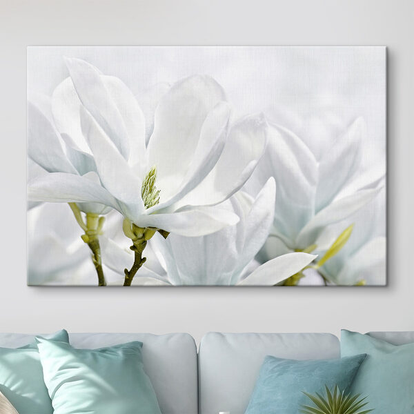 Die weiße Magnolie blüht im Frühjahr Wandbilder Die weiße Magnolie blüht im Frühjahr