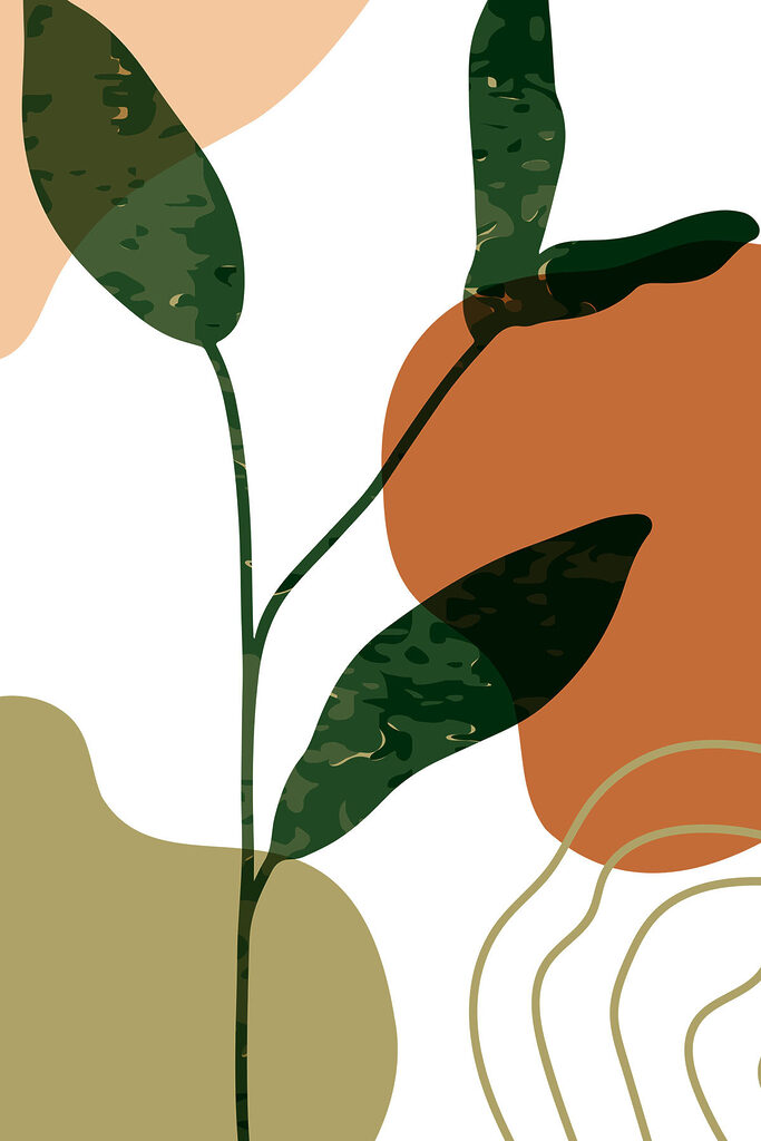 Bild #1 von Dumitru M.