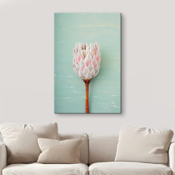 Protea-Blüte vor blauem Hintergrund Wandbilder Protea-Blüte vor blauem Hintergrund