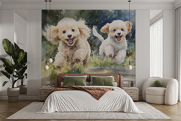 Zwei Hunde springen in die Luft Fototapeten Zwei Hunde springen in die Luft