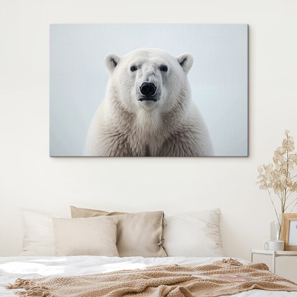 Eisbär schaut in die Kamera Wandbilder Eisbär schaut in die Kamera