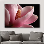 Wandbilder Zartrosa blühende Magnolie