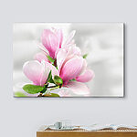 Wandbilder Rosa Magnolien in weichem Licht