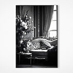 Wandbilder Leopard liegend auf einer Couch