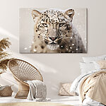 Wandbilder Schneeleopard mit Schnee auf dem Kopf