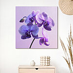 Wandbilder Lila und weiße Orchideenblüte