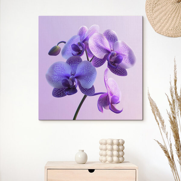 Lila und weiße Orchideenblüte Wandbilder Lila und weiße Orchideenblüte