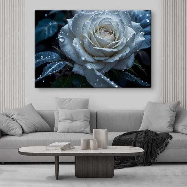 Weiße Rose mit Wassertropfen darauf Wandbilder Weiße Rose mit Wassertropfen darauf