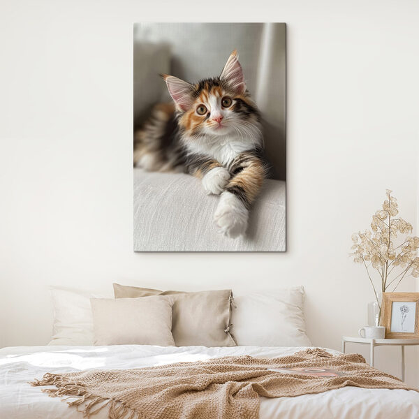 Katze auf einer Couch liegend Wandbilder Katze auf einer Couch liegend