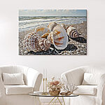 Wandbilder Muscheln am Strand