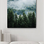 Wandbilder Wald mit Nebel und Wolken