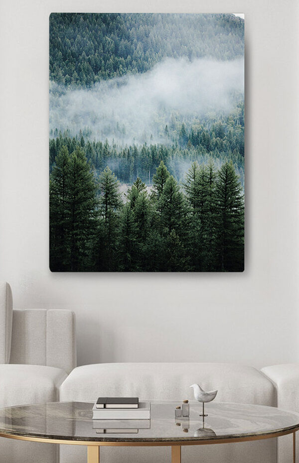 Wald mit Nebel und Wolken Wandbilder Wald mit Nebel und Wolken
