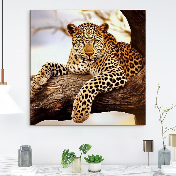 Leopard auf einem Baumast liegend Wandbilder Leopard auf einem Baumast liegend