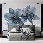 Fototapeten Zarte Orchideen mit Morgentau