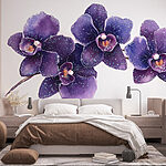 Fototapeten Gruppe violetter Blumen