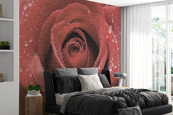 Schöne, mit Tropfen verzierte Rose. Fototapeten Schöne, mit Tropfen verzierte Rose.