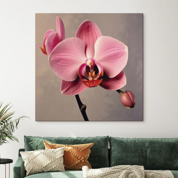 Zartrosa blühende Orchidee Wandbilder Zartrosa blühende Orchidee